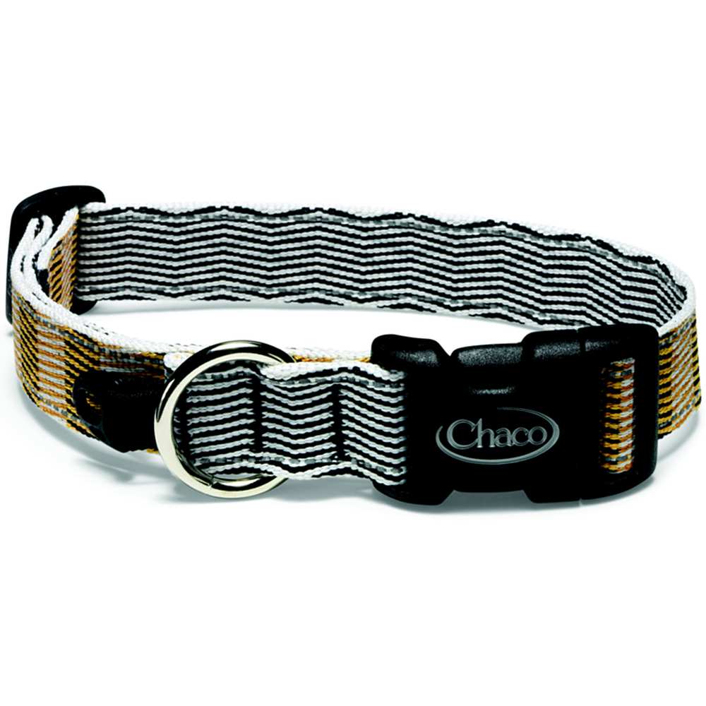 Chaco dog hotsell collar and leash