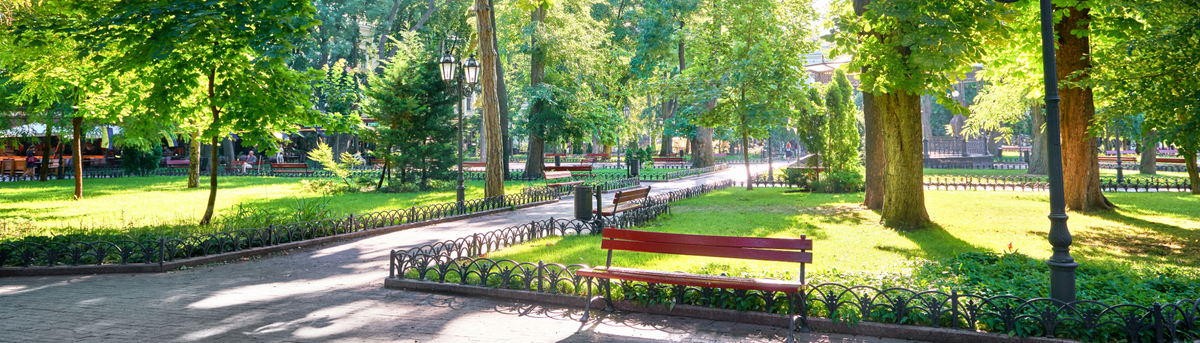 Easy Ways to Spend More Time Outside This Summer