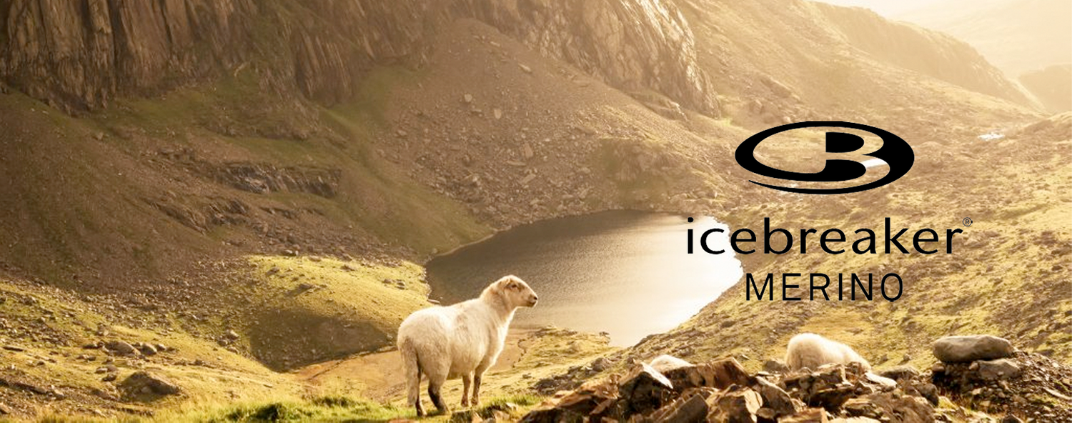 Icebreaker