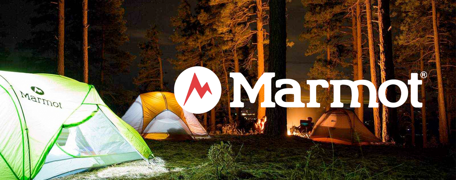 Marmot