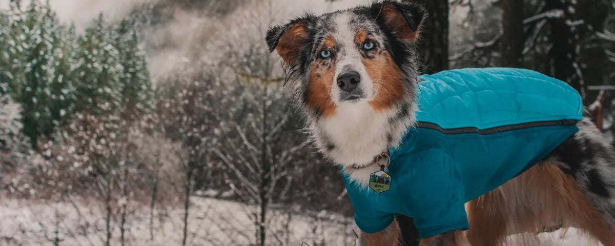 Ruffwear