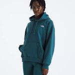 The North Face Women's Evolution Simple Dome Oversized Hoodie