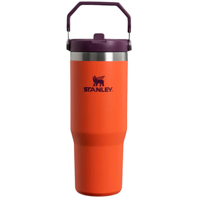 Stanley Iceflow Flip Straw Tumbler