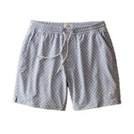 Marine Layer Men's Lined Sport and Swim Short