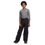 The North Face Boys' Freedom Insulated Pants