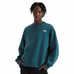 The North Face Women’s Evolution Simple Dome Oversized Crew