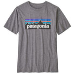 Patagonia Boys' Regenerative Organic Certification Cotton P-6 Logo T-Shirt
