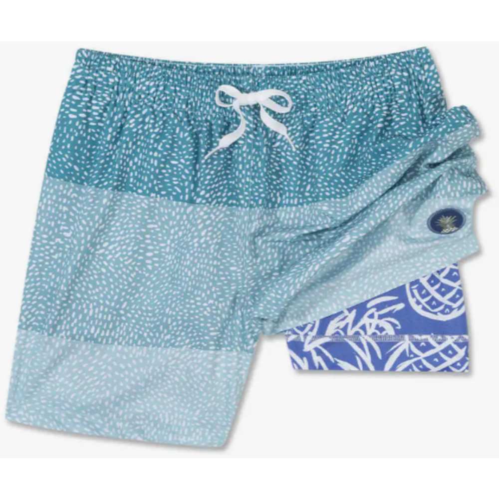 Chubbies Short de bain pour homme