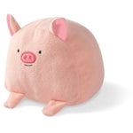 Pig Dog Toy