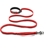 Roamer Leash - Bungee Dog Leash
